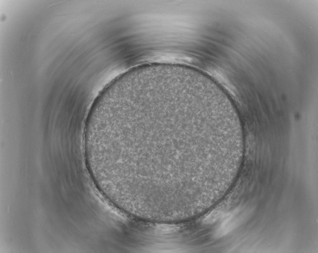 X0000088030848200706011348