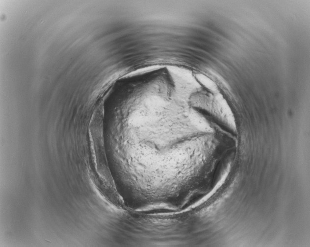 X0000088030849200706011348