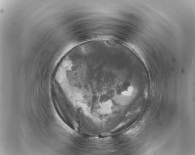 X0000088030851200706011348