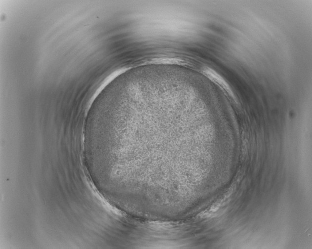 X0000088030852200706011348