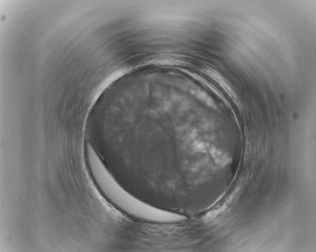 X0000088030853200706011348