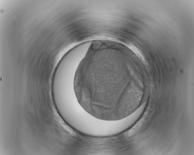 X0000088030854200706011348