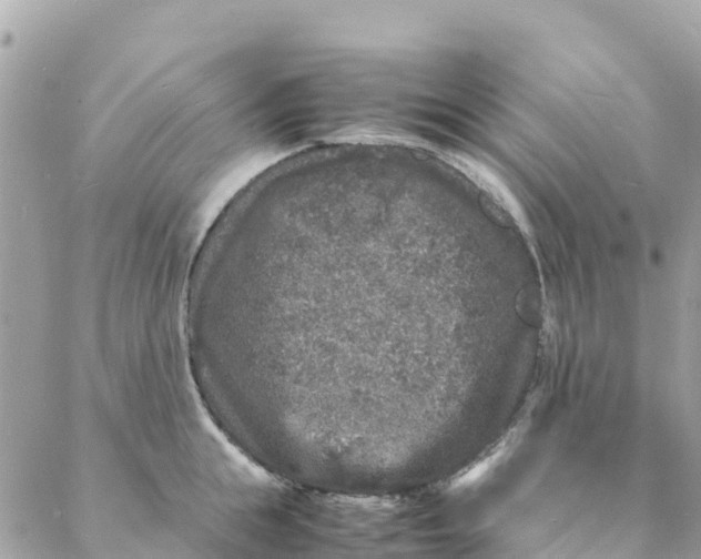 X0000088030855200706011348