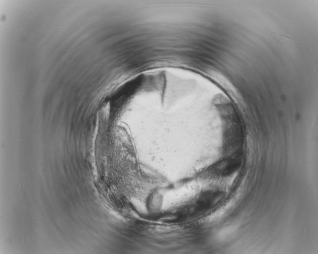 X0000088030857200706011348