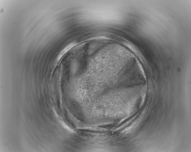 X0000088030858200706011348