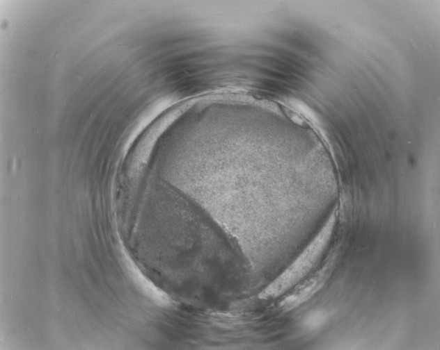 X0000088030859200706011348