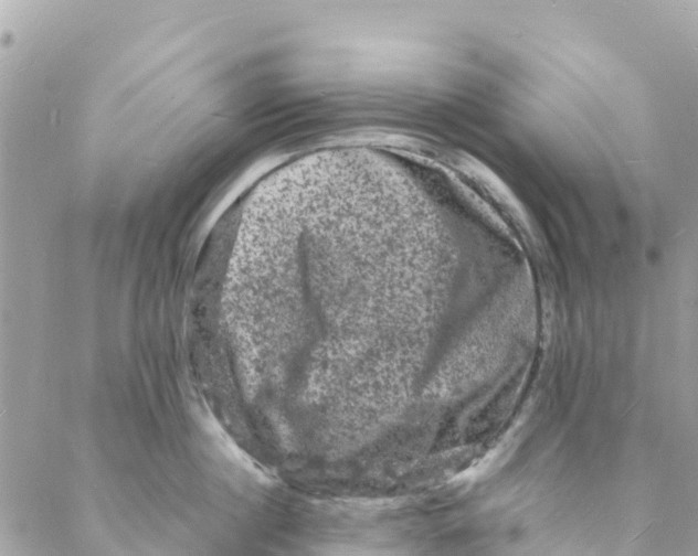 X0000088030860200706011348