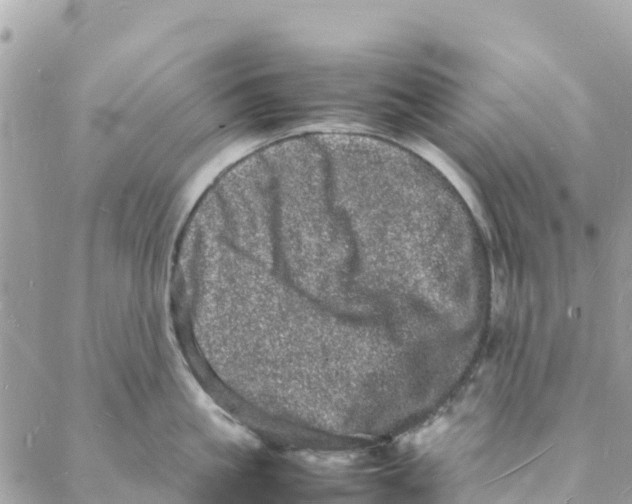 X0000088030861200706011348