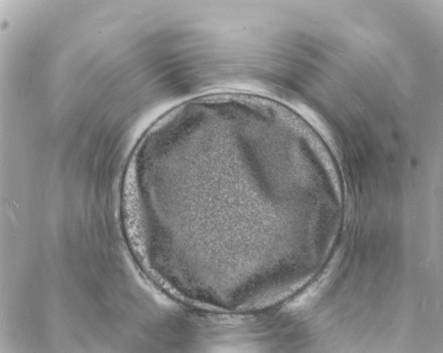 X0000088030862200706011348