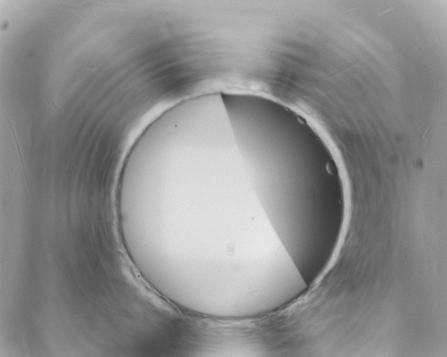 X0000088030864200706011348