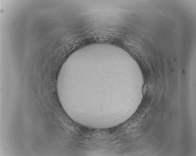 X0000088030865200706011347