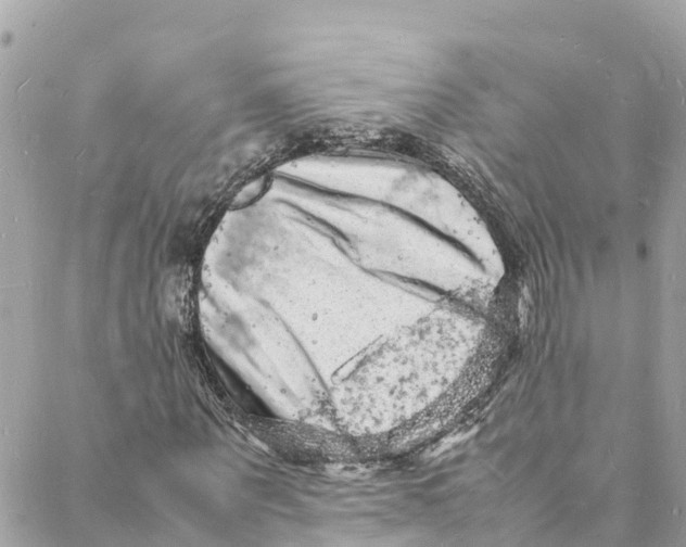 X0000088030867200706011347