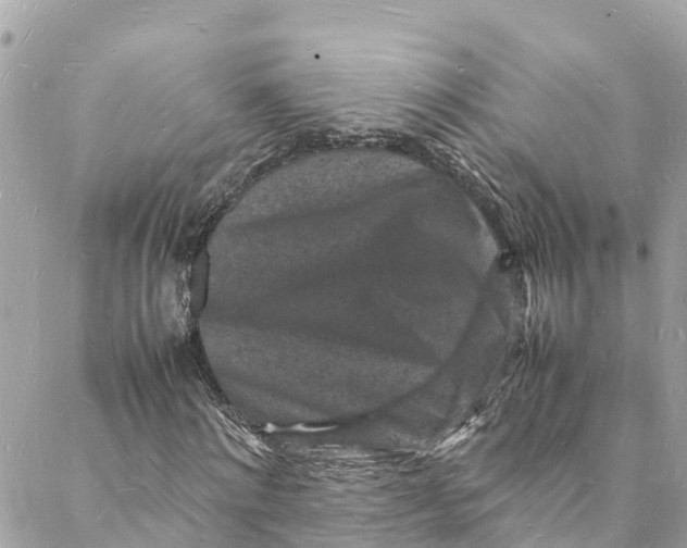 X0000088030868200706011347