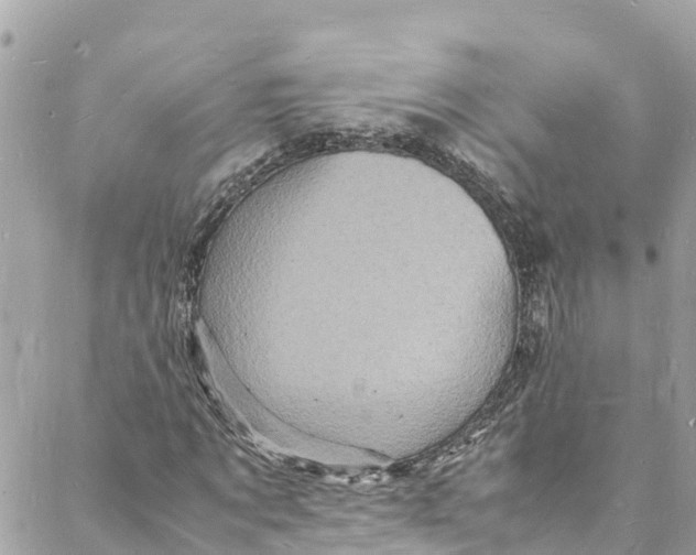 X0000088030869200706011347