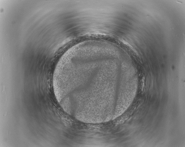 X0000088030870200706011347