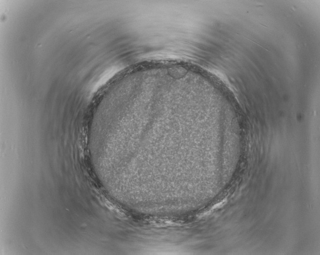 X0000088030871200706011347