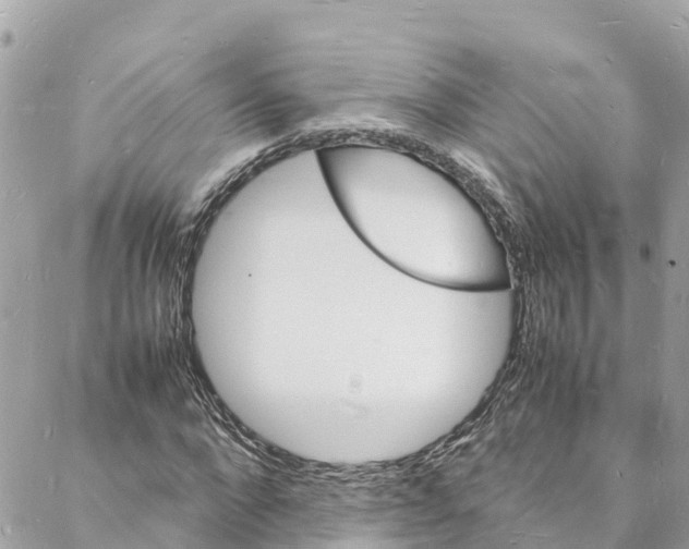 X0000088030872200706011347