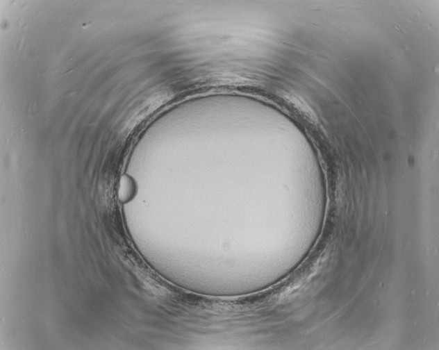 X0000088030873200706011347