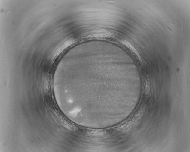 X0000088030874200706011347