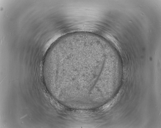 X0000088030875200706011347