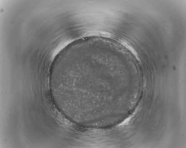 X0000088030877200706011347