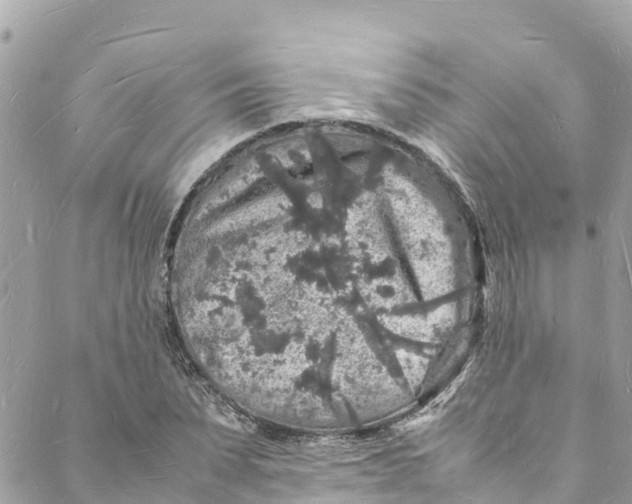 X0000088030879200706011347