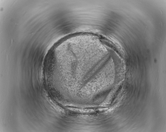 X0000088030880200706011347