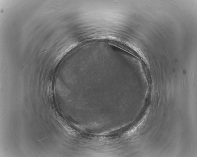 X0000088030881200706011347