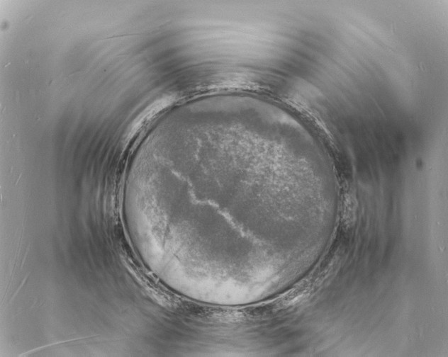 X0000088030882200706011347