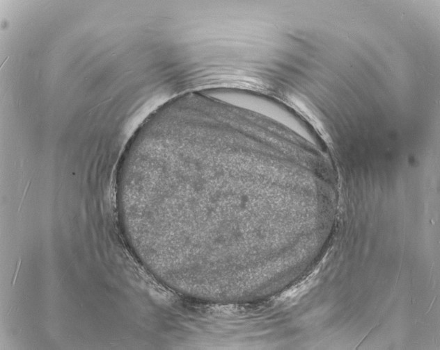 X0000088030883200706011347