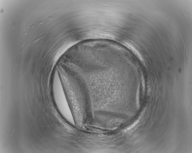 X0000088030885200706011347