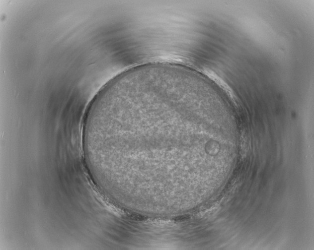 X0000088030886200706011347