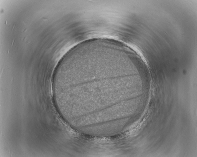 X0000088030887200706011347