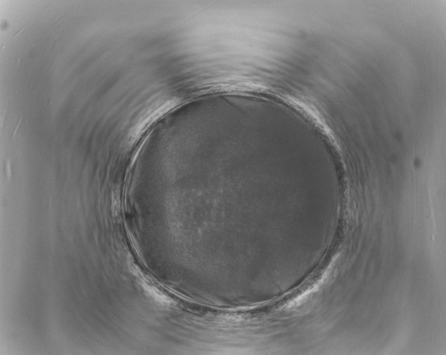 X0000088030889200706011347