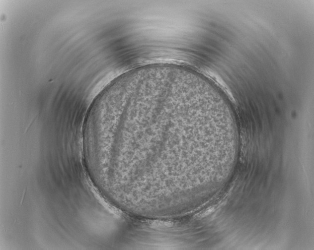 X0000088030890200706011347