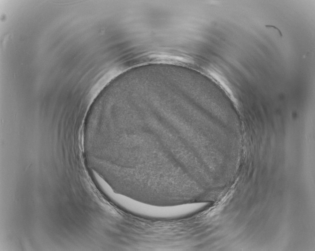 X0000088030891200706011347