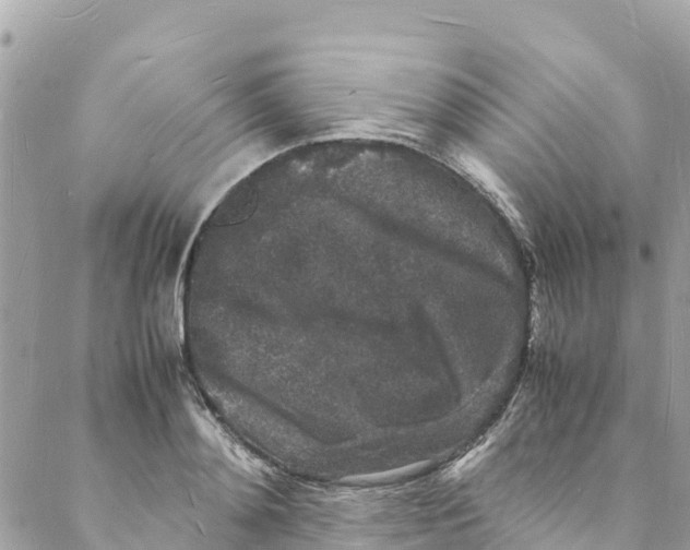 X0000088030892200706011347