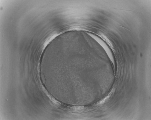 X0000088030893200706011347