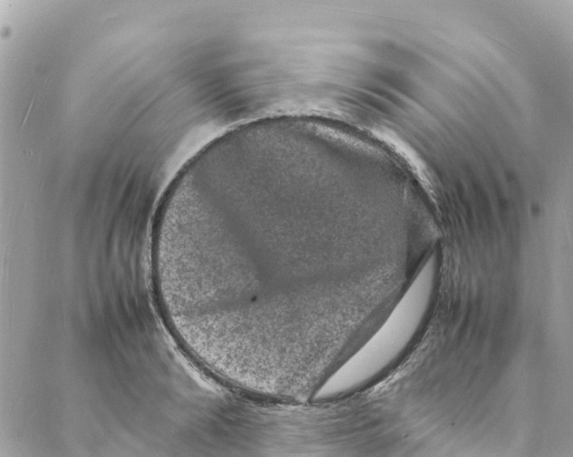 X0000088030894200706011347