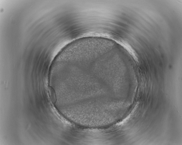 X0000088030896200706011346