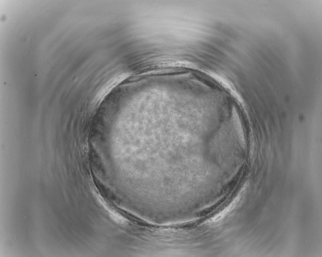 X0000088030897200706011346