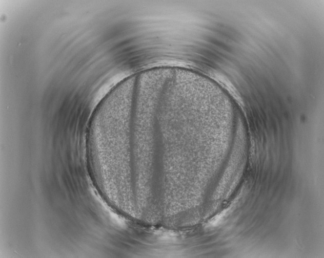 X0000088030898200706011346