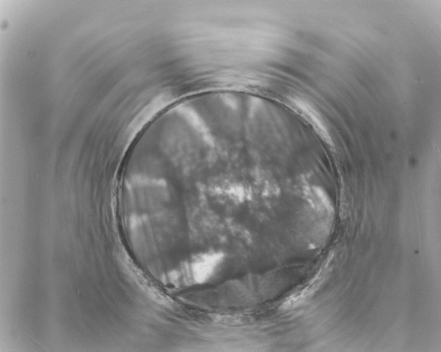 X0000088030899200706011346