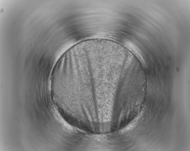 X0000088030900200706011346