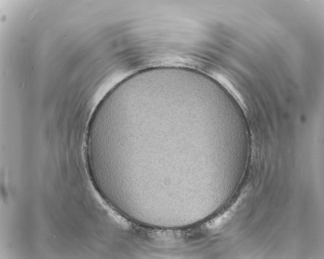 X0000088030901200706011346