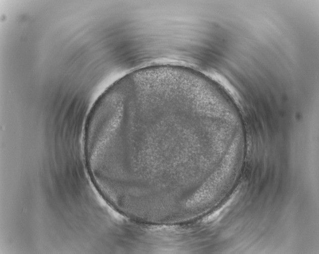 X0000088030902200706011346