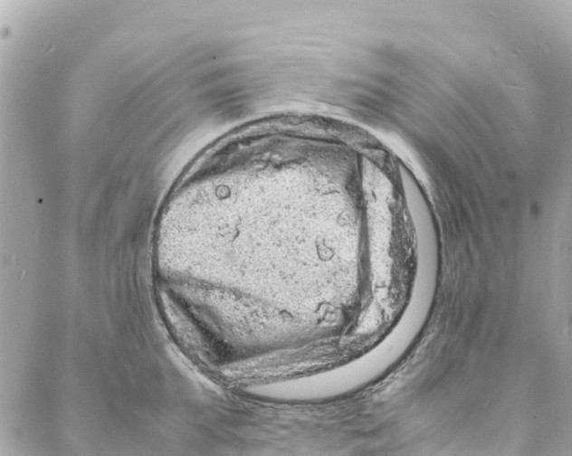 X0000088030903200706011346