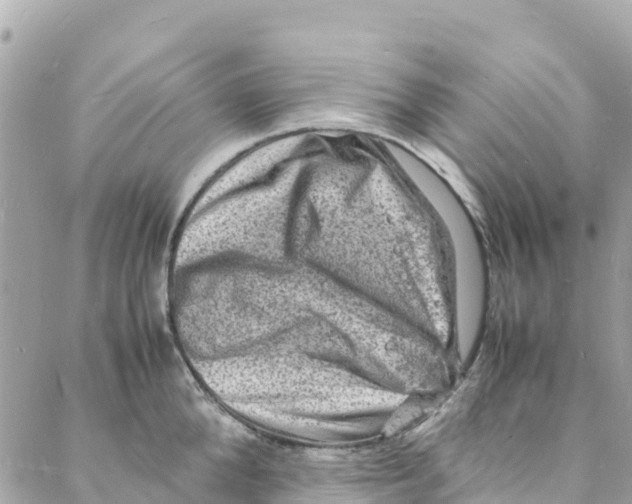 X0000088030904200706011346