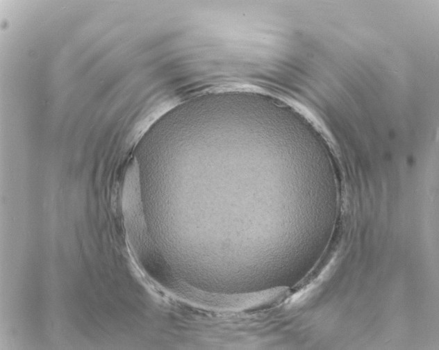 X0000088030905200706011346