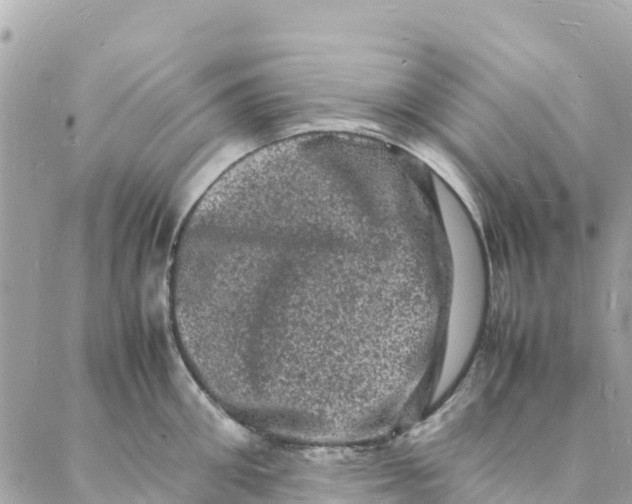 X0000088030906200706011346